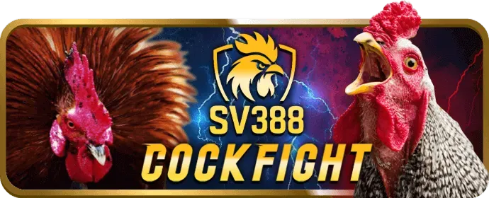 Chiến lược cá cược thể thao 77ball app